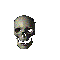 Spinning Skull