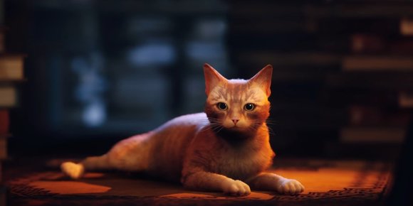 Kattepusspillet «Stray» slippes neste måned