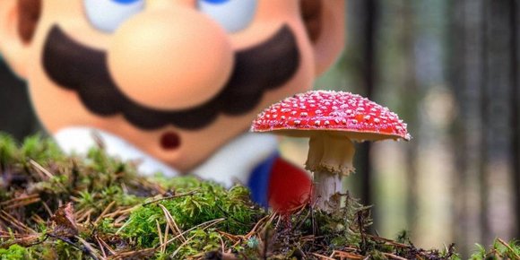Mener Koopa Troopas er usikre på soppregler
