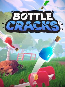 Cover for Bottle Cracks
